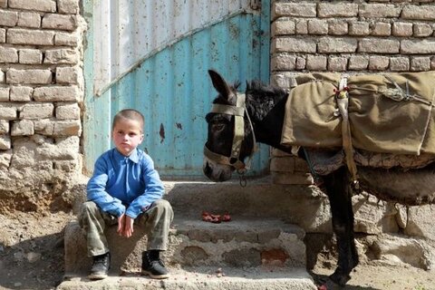 «وقت جیغ انار» به جشنواره ملبورن راه یافت